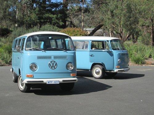Our beautiful Kombis George and Mildred George-and-Mildred-together.jpg