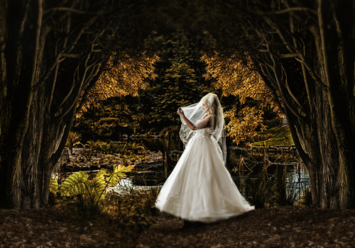 Reid Studios wedding photography reid-studios-MakridisCVIC-Image-A.jpg