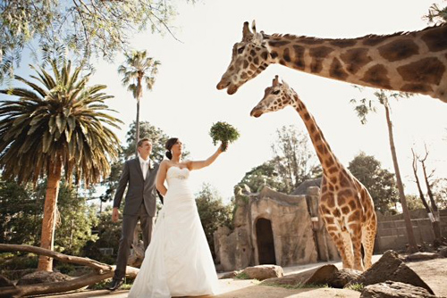 Weddings_004.jpg