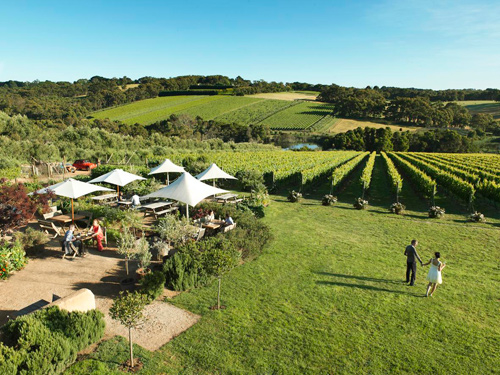 Montalto Winery montalto-wedding.jpg